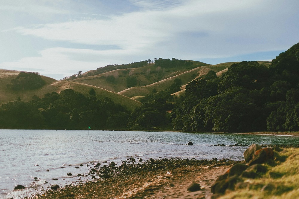 Hauraki Plains with meandering river