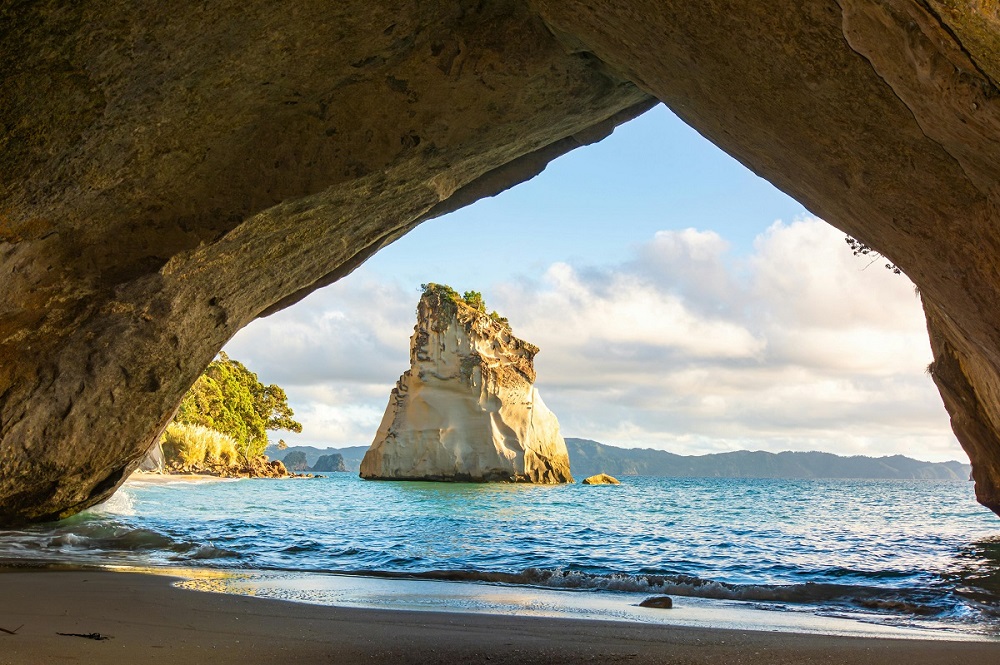 sheltered cove with white sand and pohutukawa trees typical of the Coromandel coastline