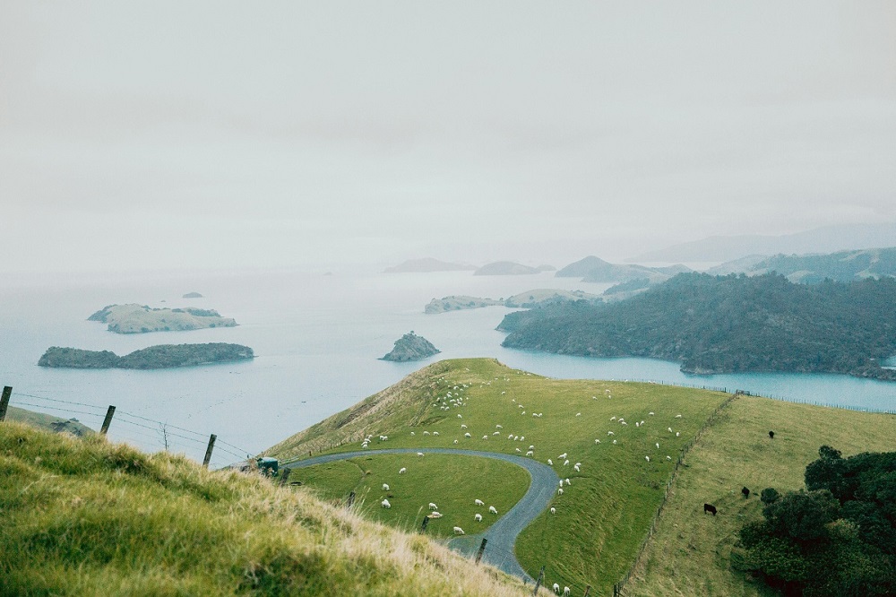 forested Coromandel ranges dropping to turquoise bays, illustrating the contrast of mountains and sea