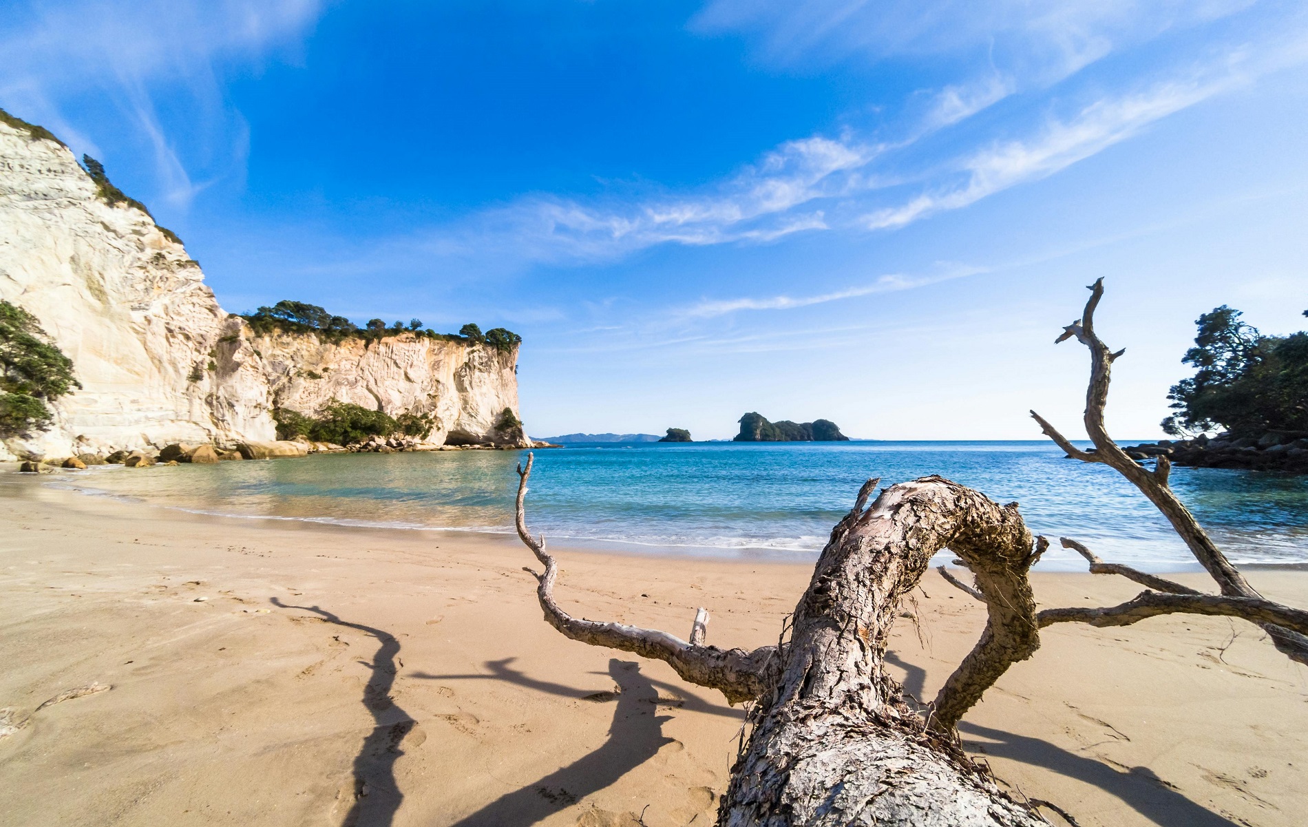 Wide sandy beach in the Coromandel with driftwood, blue-green water, and forested headlands under a golden sunrise